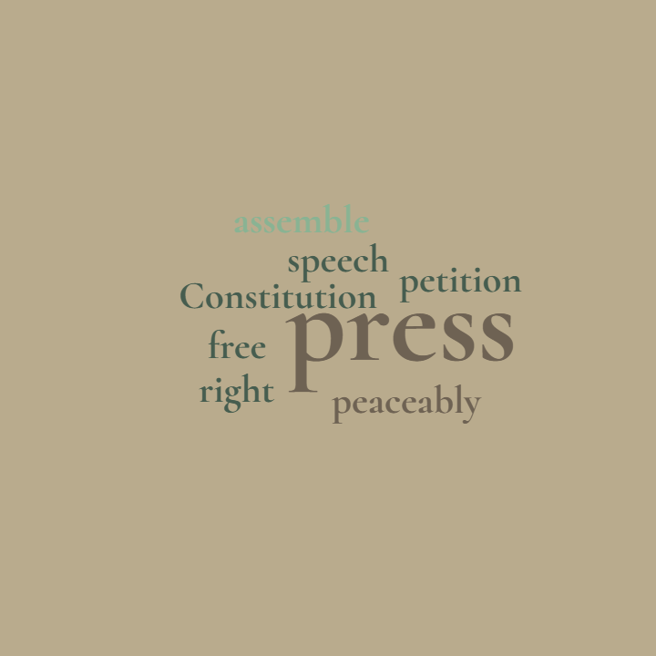 graphic of terms in !st amendment to US constitution: assemble, speech, petition, press, free, right, peaceably